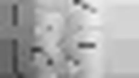 CBA次轮焦点战：山东对决广东，10月CCTV体育频道赛事数据揭晓