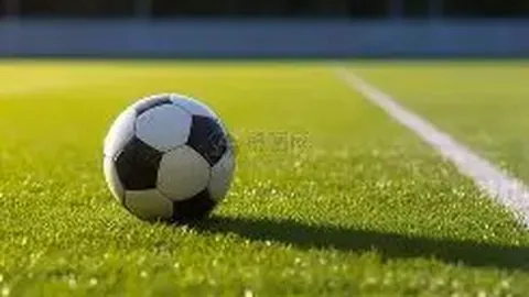 kaiyun·开云（中国）